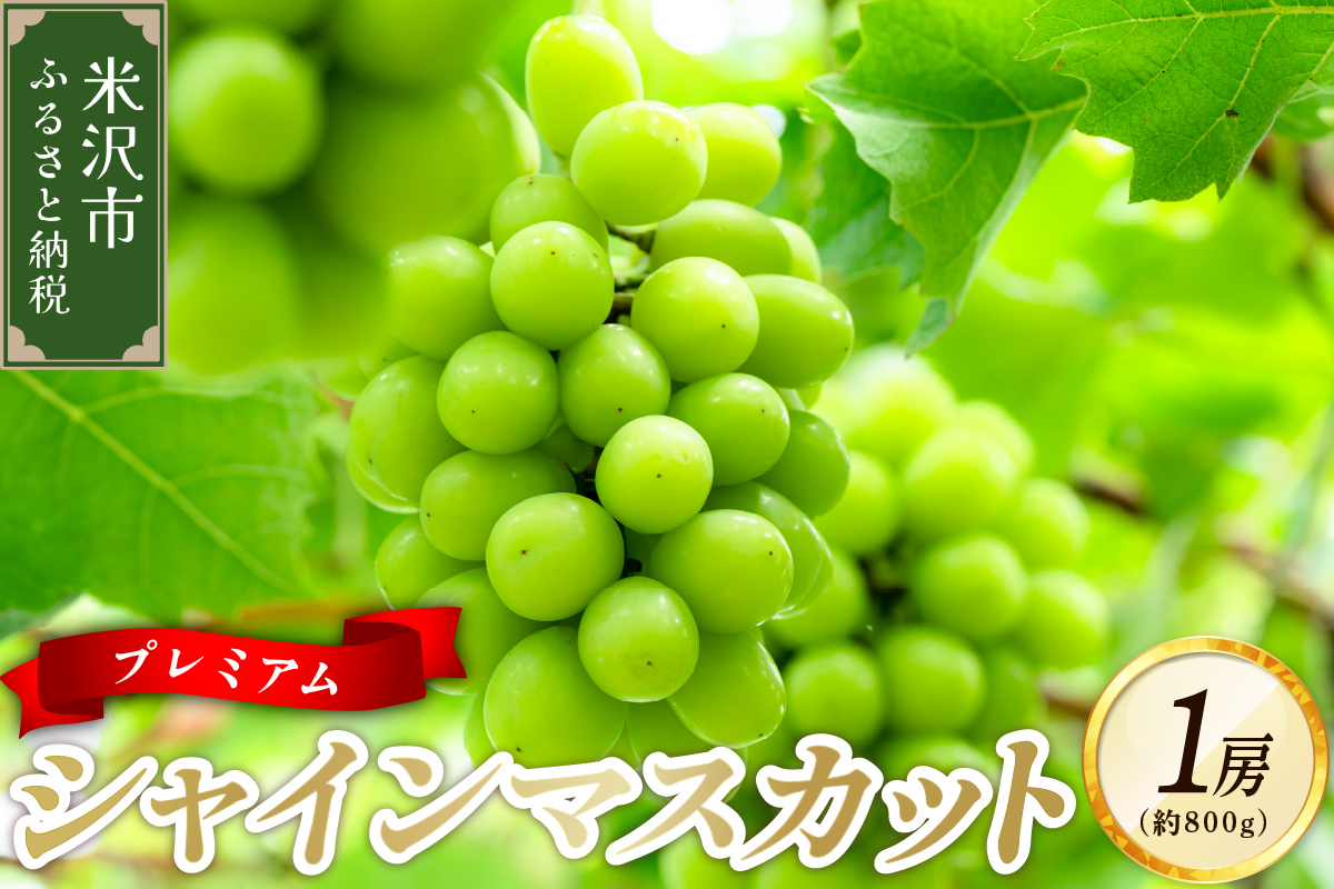 【先行予約】 令和8年産 プレミアム シャインマスカット 1房 ( 約800g ) 2026年10月頃 お届け予定