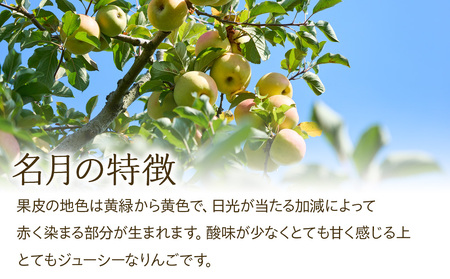 【2024年/令和6年度発送分！先行予約】酸味が少なく、甘さが際立つおいしいりんご【名月】約3kg