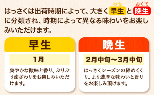 【訳あり/ご家庭用】はっさく 約9kg (4L~Sサイズ サイズ不選別) 早生･晩生指定不可《2月上旬-4月中旬に出荷予定(土日祝除く)》和歌山県 岩出市 産地直送 みかん 八朔 柑橘 果物 フルーツ