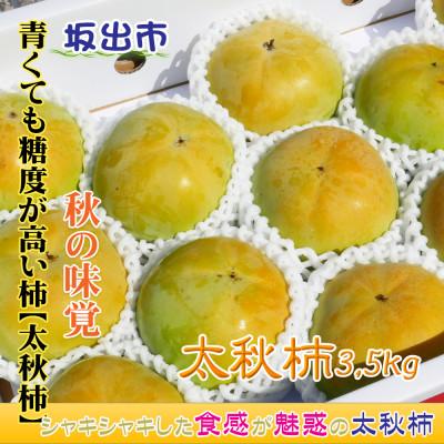 ふるさと納税 坂出市 新感覚の触感と甘さ!太秋柿　約3,5kg