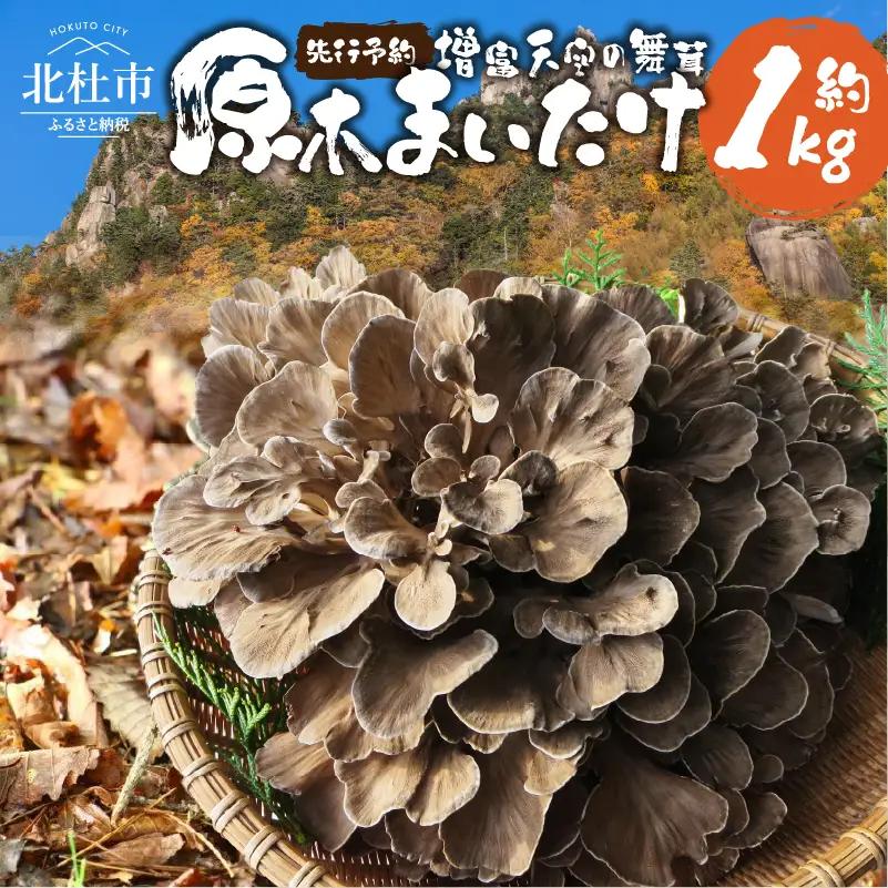 【令和8年産先行予約】 増富天空の舞茸　原木まいたけ　約1kg [h192]