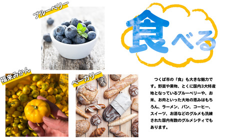 常陸牛A4・A5規格　薄切り落し肉 500g＜離島・沖縄配送不可＞【 牛肉 茨城県牛肉 つくば市牛肉 おすすめ牛肉 ブランド牛肉 】