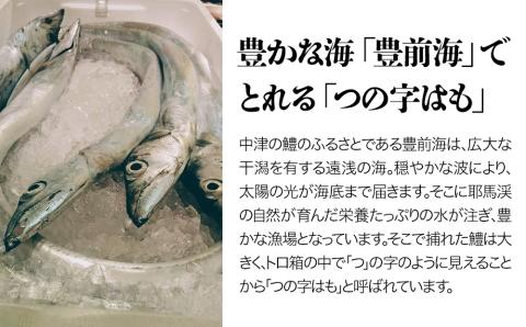 手づくり鱧かまぼこ はもさま 3本入り 蒲鉾 練り物 魚のすり身 大分県産 九州産 中津市