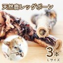 【ふるさと納税】 愛犬用 天然鹿 レッグボーン 3本 セット ( 鹿肉 ジャーキー おやつ おもちゃ ペット ドッグフード ペットフード 餌 エサ 犬 鹿 肉 国産 健康 ジビエ 愛犬 国産 無添加 犬用 京都 笠置町 RE-SOCIAL )