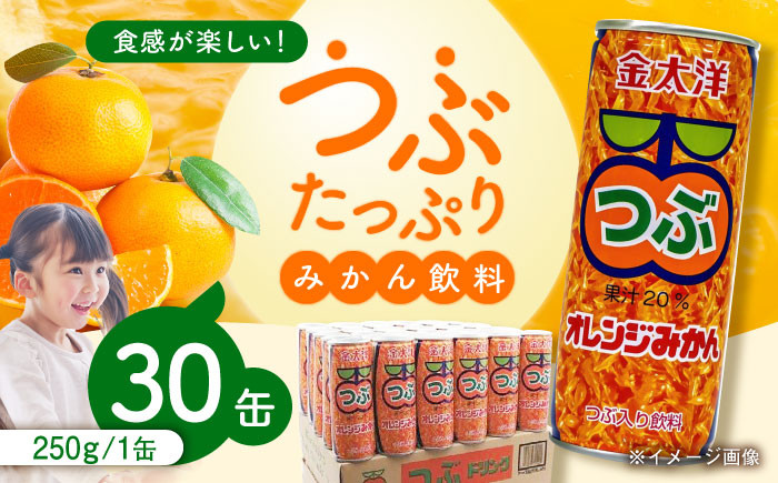 
            金太洋 つぶオレンジみかん 30缶入り 1ケース 長崎県/太洋食品株式会社 [42ACAD001] みかん ジュース ミカン 缶 長崎 島原 つぶ
          