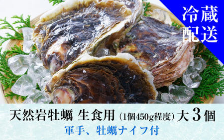 【先行予約】【加福鮮魚】若狭湾　生食用　天然岩牡蠣　大3個（軍手、牡蠣ナイフ付き）【2025年6月下旬より順次発送】