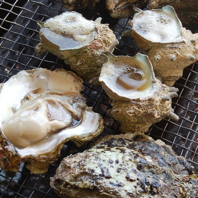 山陰の天然岩ガキ詰合せ(大きさにより5～7個入)　牡蠣は殺菌済　下処理済　生食OK　バーベキュー【配送不可地域：離島・北海道・沖縄県・東北】