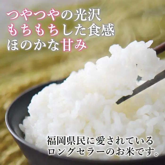＜全6回 定期便＞新米 無洗米 令和8年産 夢つくし 5kg 福岡県