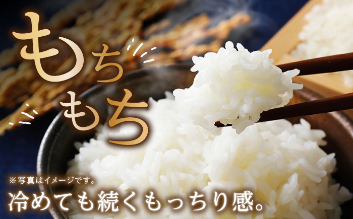 【2回定期便】 湧水米＜ひのひかり＞10kg×2回 お米 米 こめ お米 白米 精米 甘い 国産 10kg 定期便 東彼杵町/木場みのりの会 [BAV027]