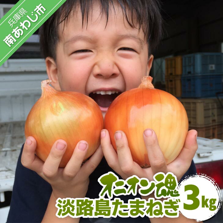 【ふるさと納税】【オニオン魂】 淡路島たまねぎ　3kg　◆配送6月上旬～翌年2月末