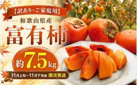 【訳あり・ご家庭用】和歌山県産 富有柿 約7.5kg【11月上旬から11月下旬頃順次発送】