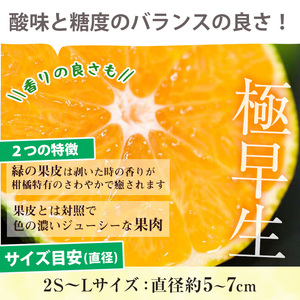 ＜先行予約・ 数量限定＞ 極早生 温州みかん 10kg 箱満杯バラ詰め！2S～Lサイズ 【B-395H】