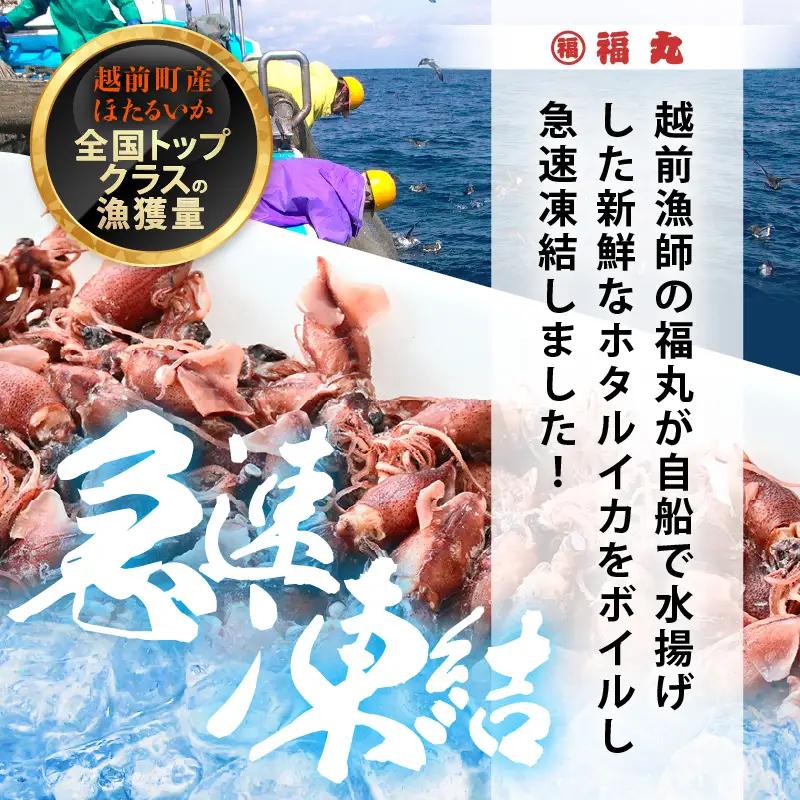 解凍するだけ ! 越前町産 ボイル済 ホタルイカ 満腹 計2kg（500g × 4P） 急速凍結 冷凍 ほたるいか 全国トップクラスの漁獲量【茹で ボイル 日本海 いか イカ 烏賊 福井県 魚介 海鮮