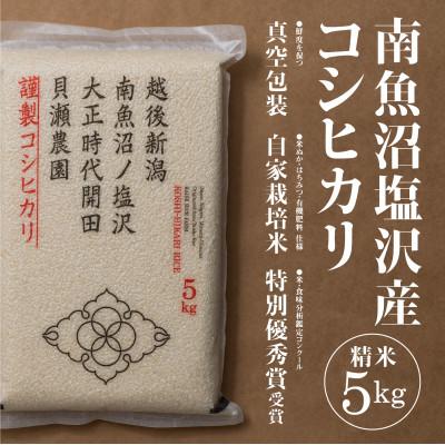 ふるさと納税 南魚沼市 令和8年産新米予約「貝瀬農園米」5割減農薬米　南魚沼塩沢産コシヒカリ　精米5kg