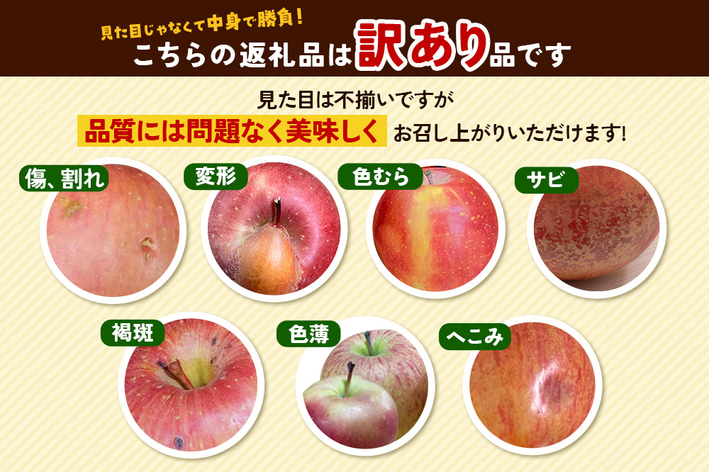 【26年4月発送・先行受付・クール便】りんご 訳あり家庭用 白熊 サンふじ 約5kg（14～20玉程度）糖度13度 CA貯蔵