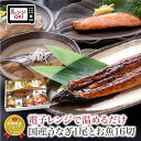 【ふるさと納税】煮魚 焼魚 4種16切+うなぎ蒲焼1尾 セット / たからや商店 越前宝や 鮭 かれい ぶり さば ウナギ 鰻 蒲焼 蒲焼き 小分け レンチン レンジ 個包装 惣菜 お惣菜 時短 ラク家事 真空パック 送料無料 [B-088010]