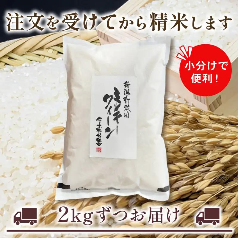 【新米受付開始！】 令和8年産 米 ミルキークイーン 計2kg 2kg × 1袋 米 白米 ご飯 料理 おにぎり 弁当 新潟県 新潟産 新発田産 ミルキークイーン 佐々木耕起組合 新潟県 新発田市 非