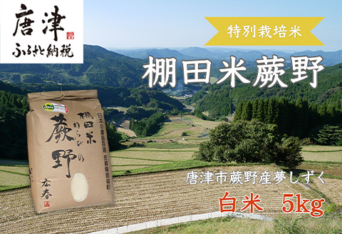 『先行予約』【令和7年産新米】特別栽培棚田米「蕨野」5kg×1袋(合計5kg) 家庭排水が一切入らない自然水で作られたお米 10日に1回精米で新米のような味わい