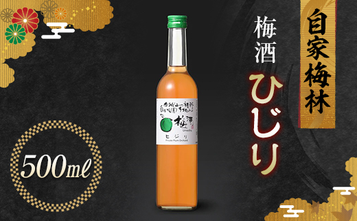 
自家梅林手摘みの梅酒 ひじり 500ml 自家製 梅 梅酒 うめ酒 白加賀梅 アルコール 群馬県 渋川市 F4H-0106
