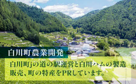純粋百花はちみつ 600g×1本 はちみつ 蜂蜜 ハチミツ ハニー 国産 白川町 / 白川町農業開発[AWAH007]