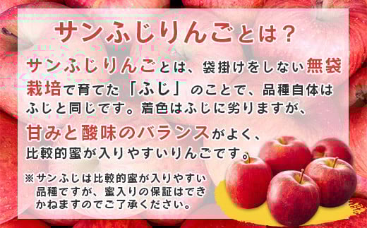 《 ご家庭用 》 サンふじ りんご 5kg 山形県産 (約10玉～20玉) 2024年産 令和6年産 【2024年11月下旬頃より順次発送予定】（フードロス対応・食品ロス・SDGs・生産者支援）　01