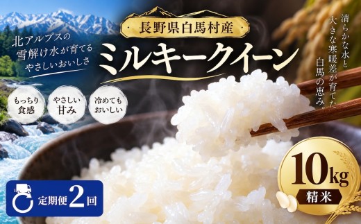 ＜2ヶ月連続お届け＞＜令和8年産・新米・先行予約＞ミルキークイーン精米10kg 全2回/長野県白馬村 北アルプスの雪解け水 2026年産  定期便  米  白米  精米後発送  お米  ご飯  ごはん  送料無料【B0030166】