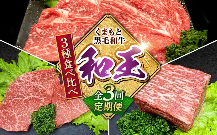 
                  【全3回定期便】 熊本県産 A5等級 黒毛和牛 和王 食べ比べ / 熊本 牛 肉 黒毛和牛 牛肉 和牛 国産 モモ スライス ステーキ 赤身【帝神志方ミート 株式会社】 [AYCH055]
                