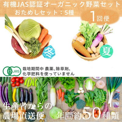 【ふるさと納税】しあわせ野菜畑の有機野菜　Sセット　(安心の有機JAS認証　旬のオーガニック野菜　農場直送便)【配送不可地域：離島・北海道・沖縄県・四国・九州】【1493486】