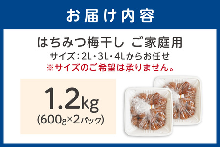 【ご家庭用】はちみつ梅干し 1.4kg（紀州南高梅）大容量 和歌山県産