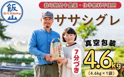 【令和7年産】幻のお米 ササシグレ ７分つき 4.6kg 《 栽培期間中 農薬・化学肥料不使用 》やよい農園  (7-89)