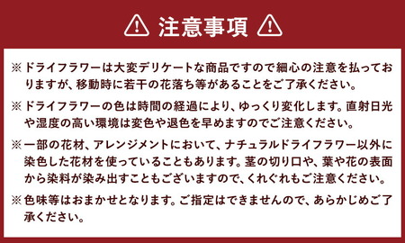ドライフラワーリース Lサイズ ドライフラワー リース デザインおまかせ フラワーアレンジ インテリア 花 プレゼント ドライフラワー 送料無料《90日以内に出荷予定(土日祝除く)》
