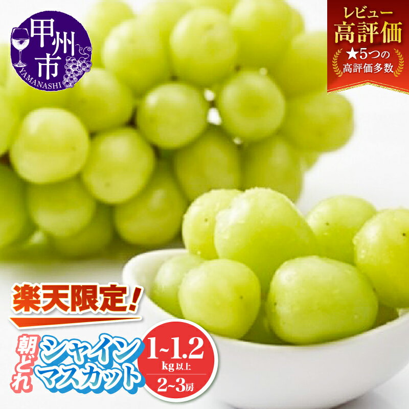 シャインマスカット 厳選 500g以上 1.0kg 1.2kg以上 選べる内容量 山梨県産 農家直送 フルーツ ぶどう 甘い 大きい 朝どれ 果実 くだもの 人気 甲州市 山梨