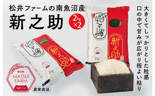
                  【令和8年産新米予約】【定期便】南魚沼産~新之助~（4kg×12回)【定期便 銘柄米 ブランド米 精米 新之助 魚沼産 新潟米 産地直送 お米 米 こめ コメ ご飯 御飯 ごはん】【2026年10月中旬より1ヶ月以内に順次発送予定】
                