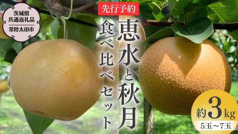 
            【 2025年 先行予約 】 厳選 2種！恵水 と 秋月 の 食べ比べセット 約3kg 5玉～7玉 【 茨城県共通返礼品 ／ 常陸太田市 】 2025年9月中旬発送 桧山果樹園 フルーツ 甘い 直送 茨城 限定 ギフト 梨 恵水 秋月 旬 贈答 果物 [DU019sa]
          