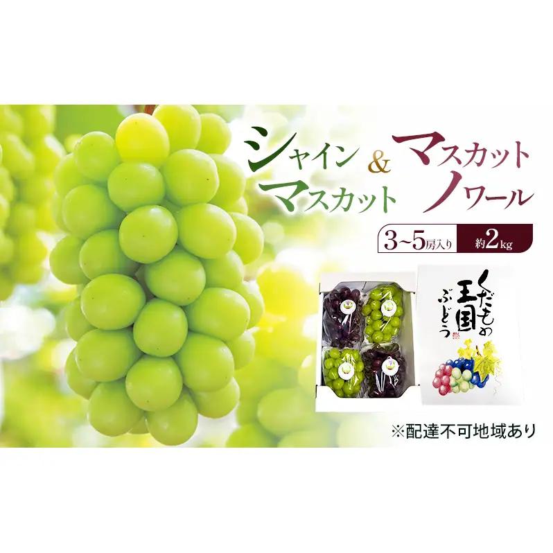 ぶどう 詰合せ シャインマスカット マスカットノワール 岡山県産 ぶどう 詰合せ【約2kg3～5房】【先行予約】