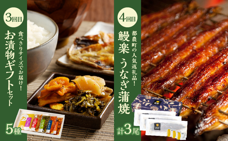 ≪12か月お楽しみ定期便≫都農町定期便(梅) 肉 加工品 デザート 国産_T999-0083