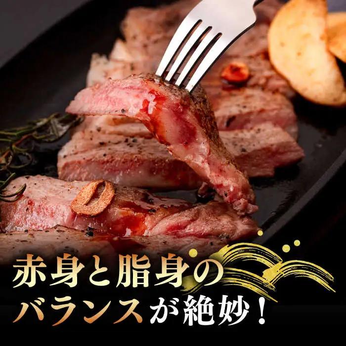 【全2回定期便】A4ランク A5ランク 壱岐牛 サーロインステーキ 200g×3枚 《壱岐市》【壱岐市ふるさと商社】 64000 64000円 7万円 [JAA034]