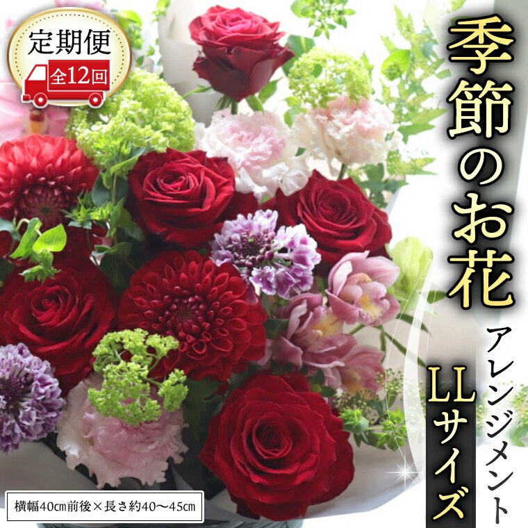 【ふるさと納税】 【 定期便 12か月 】季節の お花 の アレンジメント LL ギフト プレゼント 花 お祝い 贈答 記念日 フラワー