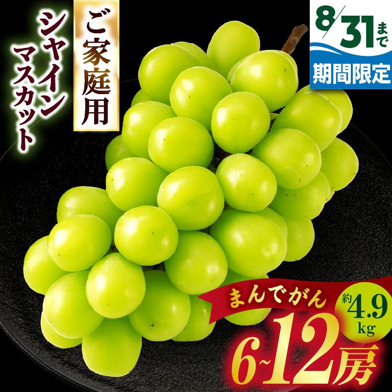 【ふるさと納税】【8月31日（夏休み）までの期間限定価格!!】ご家庭用　シャインマスカット まんでがん　約4.9kg | シャインマスカット マスカット ブドウ 葡萄 果物 フルーツ くだもの 国産 旬 人気 先行予約 季節限定 おすすめ 旬の果物 香川県 三木町 訳あり ご家庭用
