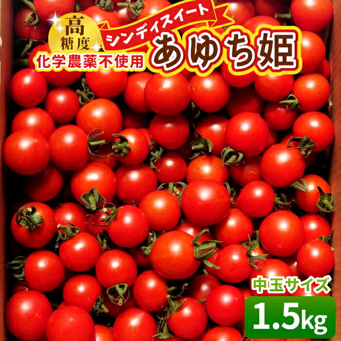 【ふるさと納税】化学農薬不使用 中玉トマト シンディースイート あゆち姫 1.5Kgトマト ミニトマト とまと 野菜 中玉 夏野菜 高糖度 -013