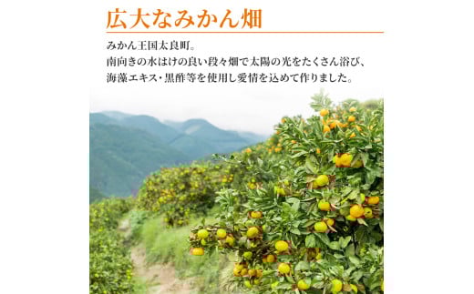 N-44 大鋸農園の甘果坊 １０ｋｇ