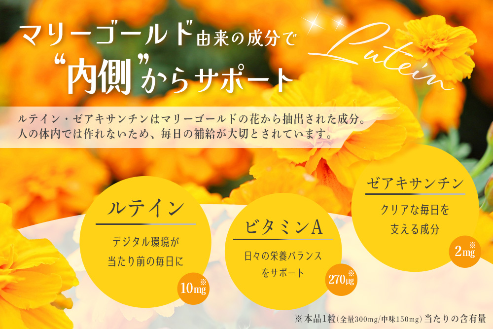ルテインリッチ 30粒(ソフトカプセル)×2箱【ルテイン ゼアキサンチン スマホ 長時間 使用】K105002