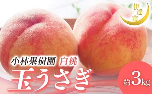 
                  【2026年出荷分先行予約】<冷蔵配送>福島県産 玉うさぎ 約3kg (8～12玉) 小林果樹園 伊達の桃 桃 フルーツ 果物 もも モモ momo F21C-258
                