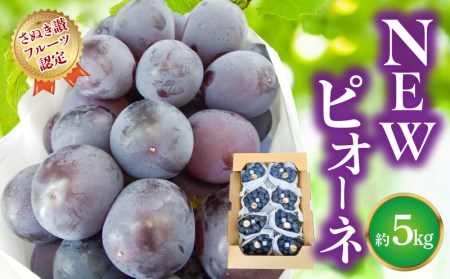 【ふるさと納税】【7月上旬から】【さぬき讃フルーツ】NEWピオーネ 約5kg
