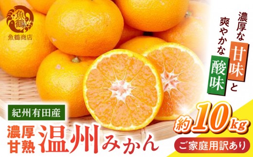 
                  【2026年先行予約】紀州 有田産 濃厚甘熟 温州みかん 約10kg 【家庭用 訳あり】 2026年 先行予約 家庭用 訳あり 10kg 濃厚 甘熟 紀州有田産 みかん 果物 フルーツ デザート 柑橘 国産 果実 甘味 酸味 お取り寄せ お取り寄せフルーツ 和歌山県 湯浅町 送料無料 _G7379
                