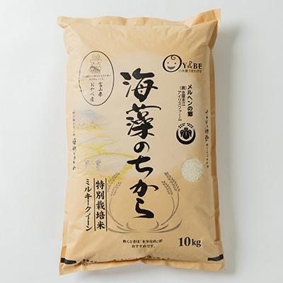 ふるさと納税 小矢部市 特別栽培米20kg (精米/ミルキークイーン10kg×2) |  | 01