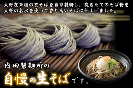越前大野産 石臼挽き 越前そば 生そば8食（つゆ付） [A-018010]