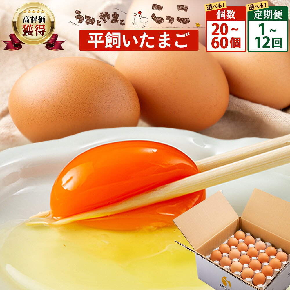 【ふるさと納税】★5.0 平飼い卵 定期便 20〜60個 1～12ヶ月 うみとやまとこっこ サイズ混合 上田養鶏場 | ふるさと納税 卵 たまご 生卵 鶏卵 赤たまご 平飼い 新鮮 濃厚 単品 定期便 1回 2回 3回 6回 12回 ふるさと 人気 おすすめ 産地直送 佐賀県 鹿島市 送料無料 B-396