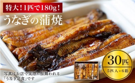 【冷蔵】【肉厚180g×30匹】秘伝のタレで仕上げた国産うなぎの蒲焼 30匹＜入口屋＞[CCA014] 長崎 西海 魚介類 魚 うなぎ 鰻 ウナギ うなぎ 蒲焼 一子相伝 秘伝のたれ 国産 うなぎ かばやき 国産うなぎ ｳﾅｷﾞ国産 うなぎ うなぎ 国産鰻 ｳﾅｷﾞうなぎ蒲焼き うなぎ ウナギ 鰻 うなぎ  国産ウナギ 国産うなぎ 国産鰻 うなぎの蒲焼き ｳﾅｷﾞ国産 うなぎ うなぎ 国産鰻 ｳﾅｷﾞ うなぎ ウナギ うなぎ うなぎのタレ うなぎ 冷蔵 うなぎ ｳﾅｷﾞ国産 うなぎ うなぎ 国産鰻 ｳﾅｷﾞ