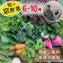 【ふるさと納税】旬のこだわり 京野菜 セット 6～10種類＜ファーザーズファーム＞栽培期間中農薬不使用｜野菜 野菜詰め合わせ 野菜セット 京野菜 旬の野菜 新鮮野菜 ※北海道・沖縄・離島への配送不可